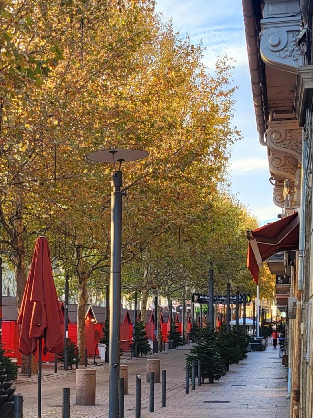 Superbe Batisse De Caractere, Coeur De Ville Perpiñán Exterior foto